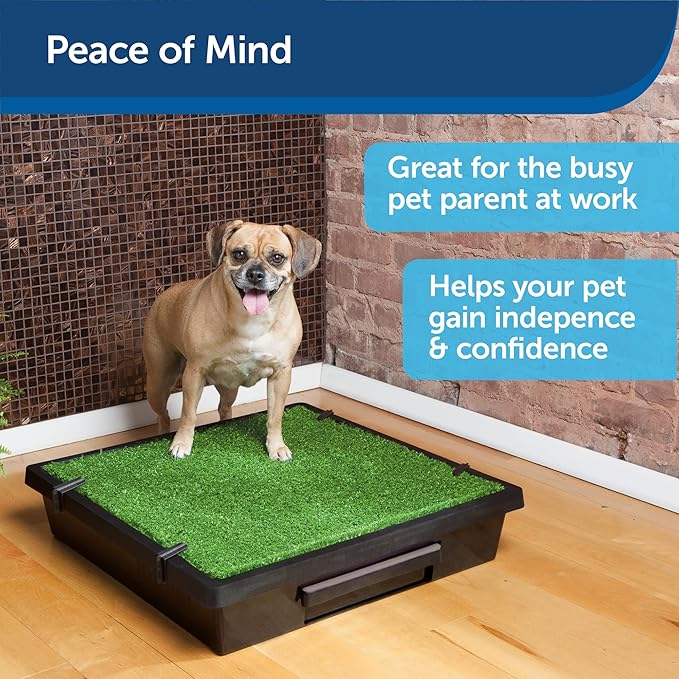 PetSafe Pet Loo Portable Dog Potty - Pet Toilet Alternative for Puppy Pads - Small - Perfect for House Training - Easy-to-Clean Grass Mat