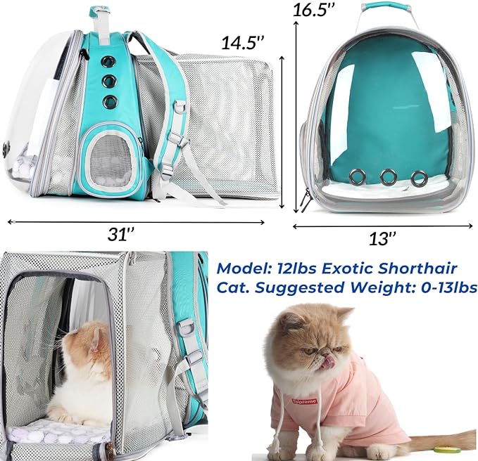 LOLLIMEOW Pet Carrier Backpack, Bubble Backpack Carrier, Cats and Puppies,Airline-Approved, Designed for Travel, Hiking, Walking & Outdoor Use (Dual Expandable-Green)