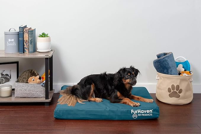 Furhaven Water-Resistant Memory Foam Dog Bed for Medium/Small Dogs w/ Removable Washable Cover, For Dogs Up to 35 lbs - Indoor/Outdoor Logo Print Oxford Polycanvas Mattress - Deep Lagoon, Medium