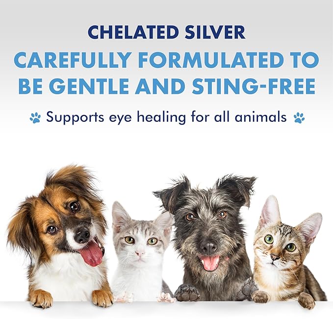 PetSilver Eye Wash Drops for Dogs and Cats with Chelated Silver, Made in USA, Natural Eye Solution, Relief for Inflammation & Eye Irritation, Easy to Apply, 4 fl oz