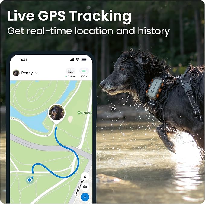 Tractive XL GPS Tracker & Health Monitoring for Dogs (50 lbs+) - Market Leading Pet GPS Location Tracker | Wellness & Escape Alerts | Waterproof | Works with Any Collar (Adventure Edition)