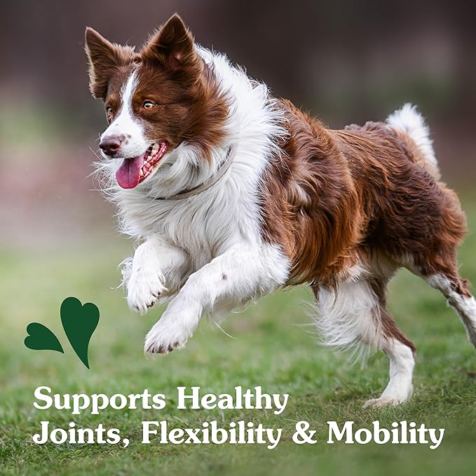 Greenies Supplements Hip and Joint Supplements for Dogs, Chicken Flavor, 80 Count Soft Chews Dog Joint Supplements, 16.2 oz.