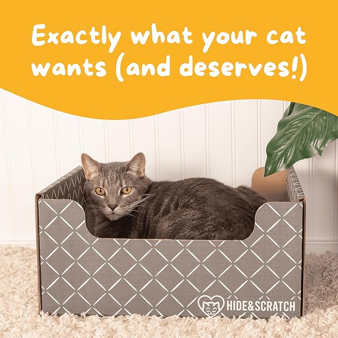 Hide & Scratch: Extra-Large Heavy Duty Cardboard Cat Scratcher and Lounger Box with Refillable Scratch Pad (Dark Grey 4PC)