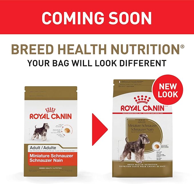 Royal Canin Miniature Schnauzer Adult Breed Specific Dry Dog Food, 10 lb Bag