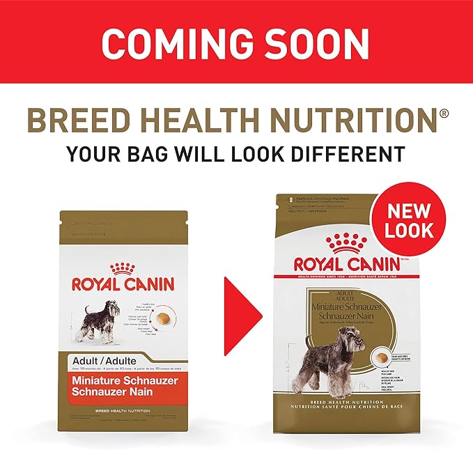 Royal Canin Miniature Schnauzer Adult Breed Specific Dry Dog Food, 10 lb Bag