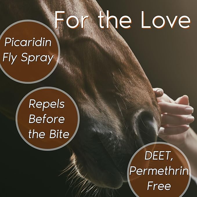 Zone Protects Horse & Rider Equine Spray with Picaridin – 32oz Trigger Spray, DEET-Free Insect Repellent for Horses and Riders, Repels Flies, Gnats, Horse Flies, Ticks, 12-Hour Protection