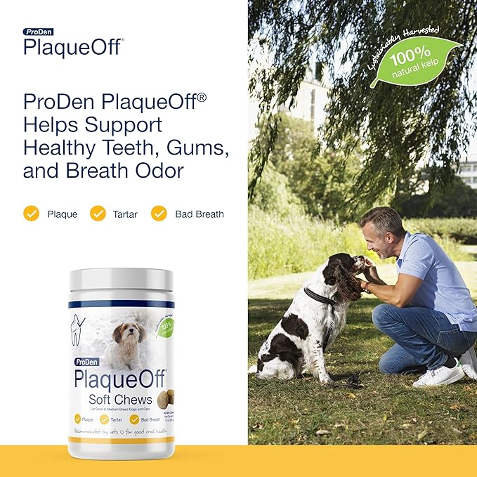 ProDen PlaqueOff Soft Chews with Natural Kelp - for Small & Medium Breed Dogs & Cats - Supports Normal, Healthy Teeth, Gums, and Breath Odor in Dogs & Cats - 90 Soft Chews