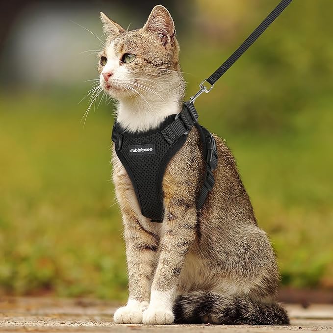 rabbitgoo Cat Harness and Leash for Walking, Escape Proof Soft Adjustable Vest Harnesses for Cats, Easy Control Breathable Reflective Strips Jacket, Black, M