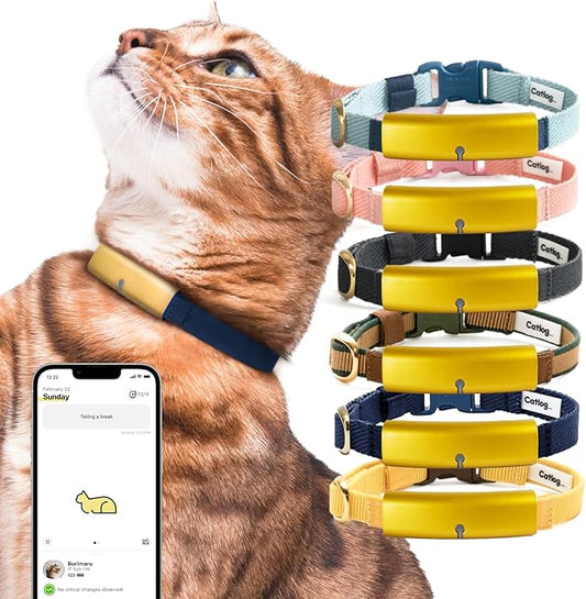 Smart Collar (Sumi, XL) - Smart Collar with a Breakaway Buckle, Healthcare Tracker for Indoor Cat, Live Behavior Tracking, Loss of Energy Alerts