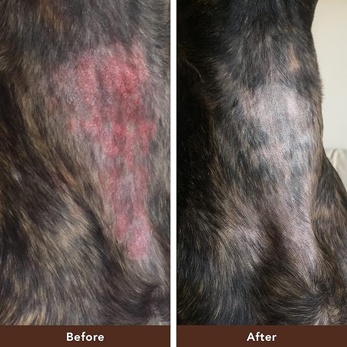 Natural Dog Company Skin Soother, Travel Stick, 0.15 oz., Allergy and Itch Relief for Dogs, Dog Moisturizer for Dry Skin, Dog Lotion, Ultimate Healing Balm, Dog Rash Cream