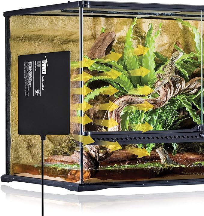 iPower 8X12 Inch Reptile Heat Pad Under Tank Heater Terrarium Warmer Heating Mat and Digital Thermostat Controller for Turtles Lizards Frogs and Other Small Animals Black