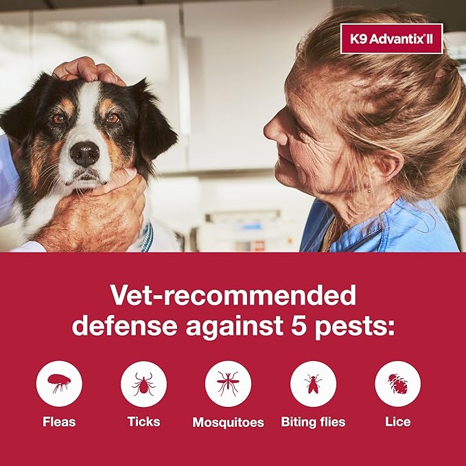 K9 Advantix II Large Dog Vet-Recommended Flea, Tick & Mosquito Treatment & Prevention | Dogs 21 - 55 lbs. | 12-Mo Supply