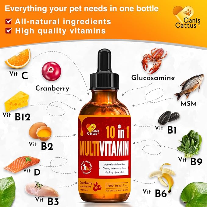 Cat Multivitamin | Dog Vitamins and Supplements | Cat Supplements & Vitamins | Multivitamin for Dogs | Pet Honesty Multivitamin 10-in-1 | Dog Supplements & Vitamins | Vitamins for Dogs | 3 Pack