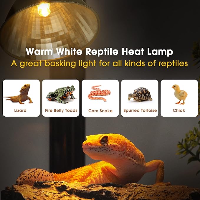 Reptile Heat Lamp Dimmable, UVA Basking Light for Reptiles 50W, Timing Reptile Light Fixture, Dome Aluminum Reflector, Heat Clamp Lamp with Gooseneck for Chicken Turtle Gecko Lizard
