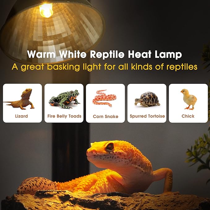 Reptile Heat Lamp Dimmable, UVA Basking Light for Reptiles 50W, Timing Reptile Light Fixture, Dome Aluminum Reflector, Heat Clamp Lamp with Gooseneck for Chicken Turtle Gecko Lizard