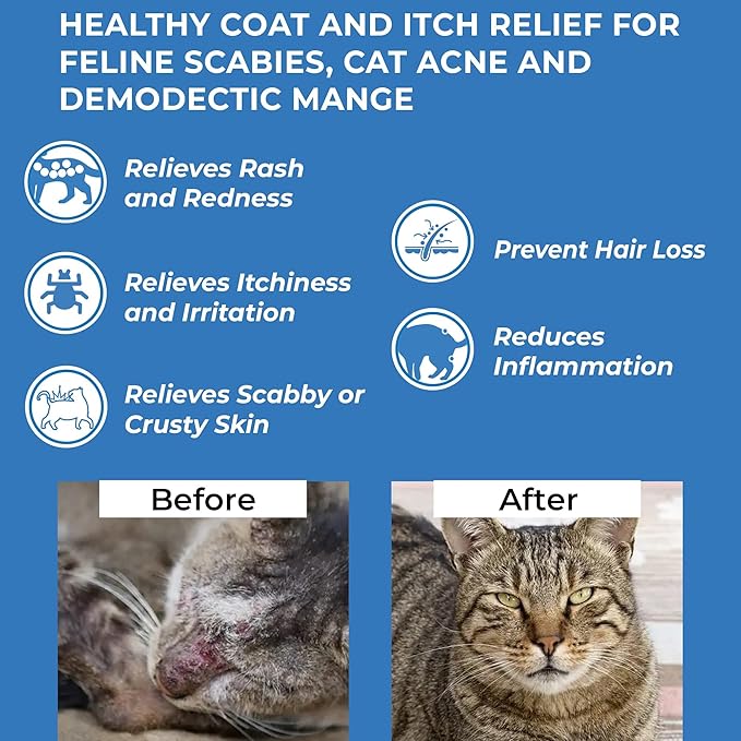 BestLife4Pets 2 Packs Demodectic Mange and Scabies Relief for Cats - Ear Mites & Itch Relief Supplements for Cat Itching Relief - Restores Healthy Feline Coat and Skin - Easy to Use Natural Pills