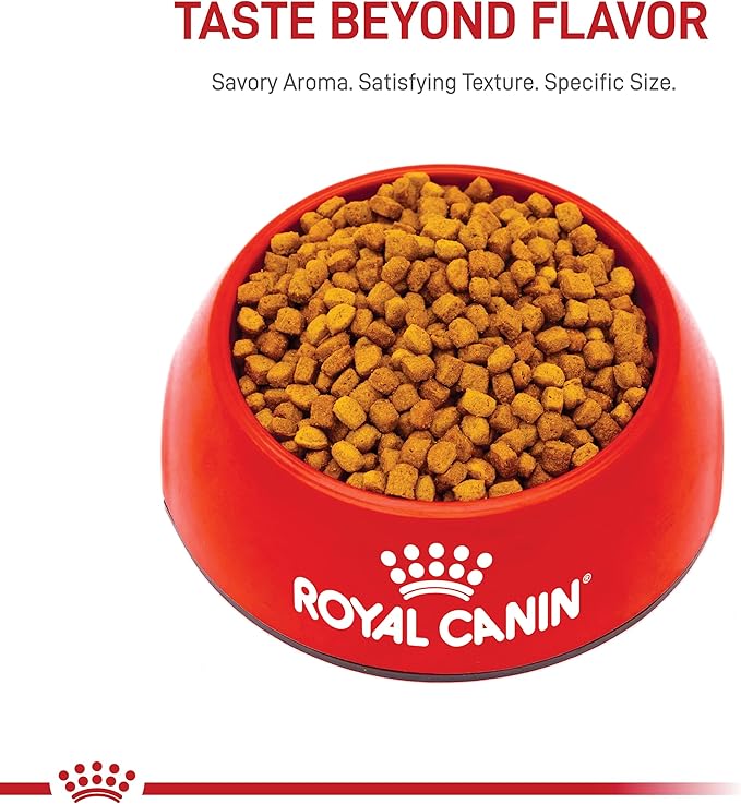 Royal Canin Dachshund Puppy Breed Specific Dry Dog Food, 2.5 lb Bag