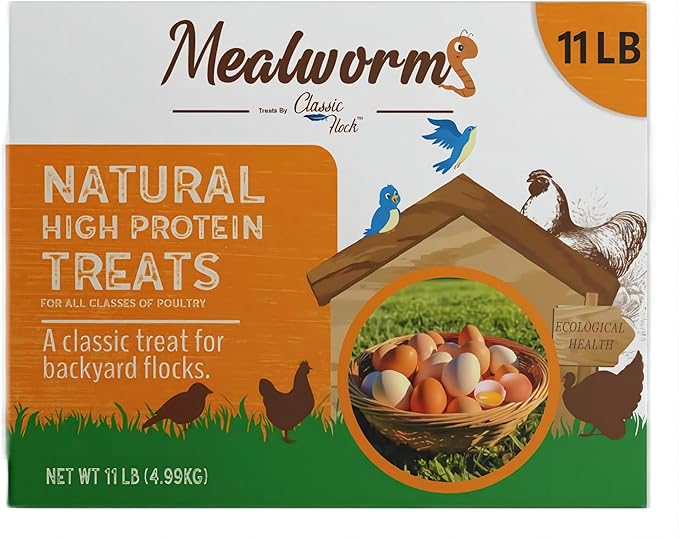 11lb Dried mealworms - High Protein, Pure Natural, Delicious - Ideal for Chickens, Birds, Ducks, Lizards, Turtles, Fish, and Reptiles, 11lbs Meal Worms