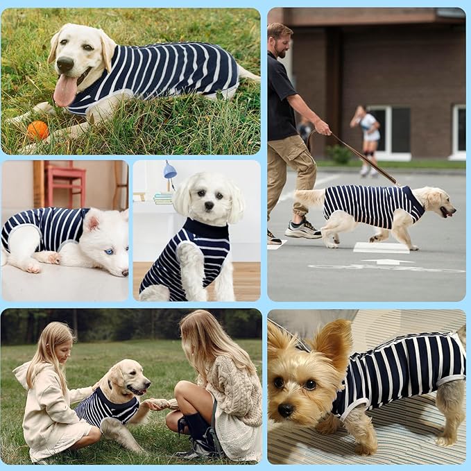 AURUZA Dog Recovery Suit After Surgery, Soft Breathable Dog Onesie for Surgery Female Male, Anti Licking Dog Surgical Suit (Blue Strip,S)