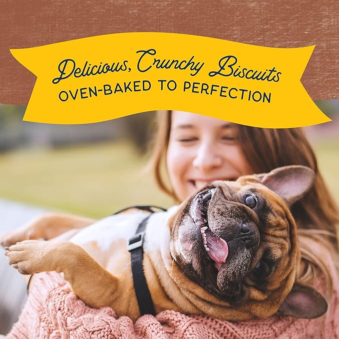 Natural Balance Limited Ingredient Rewards Crunchy Biscuits, Dog Treats with Healthy Grains for Adult Dogs of All Breeds, Beef Recipe, 14 Ounce (Pack of 1)