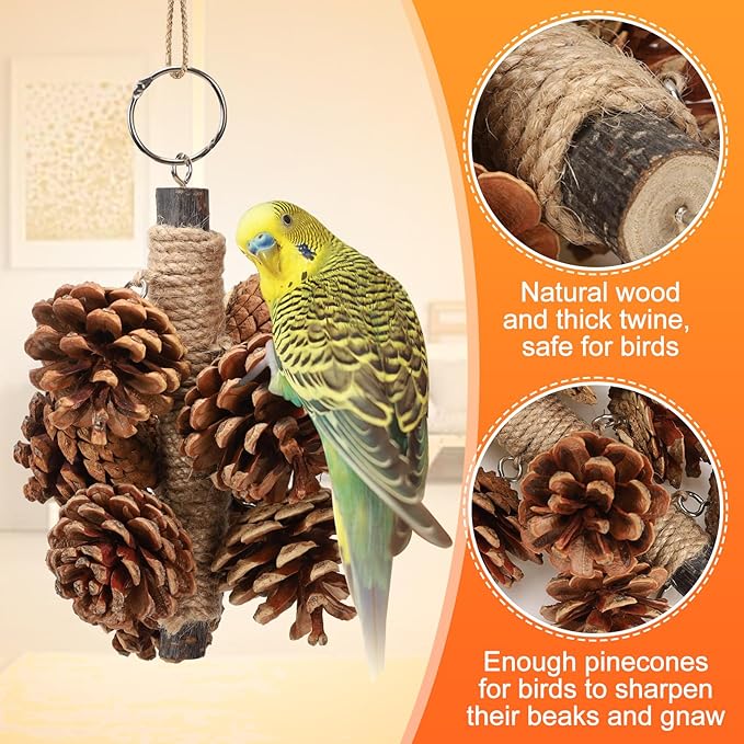 Bird Toys Parrot Toys - Bird Chewing Toy with Natural Pine Cones for Small and Medium-Sized Parakeets Cockatiels Conures Lovebirds Cockatoos African Grey Amazon Parrots