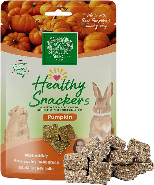 Small Pet Select - Healthy Snackers - Pumpkin