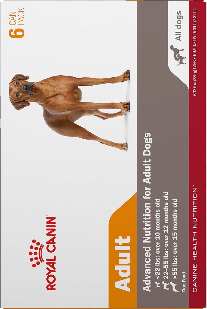 Royal Canin Canine Health Nutrition Adult In Gel Canned Dog Food, 13.5 oz can (6-pack)