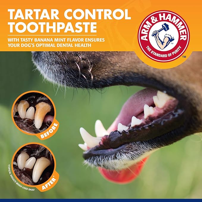 Arm & Hammer for Pets Tartar Control Kit for Dogs 3-Piece Kit Contains Toothpaste, Toothbrush & Fingerbrush Reduces Plaque & Tartar Buildup, Banana Mint Flavor - (Pack of 48)