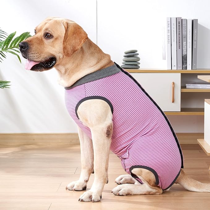 Dotoner Dog Recovery Suit Abdominal Wound Puppy Surgical Clothes Post-Operative Vest Pet After Surgery Wear Substitute E-Collar & Cone(M,Pink)