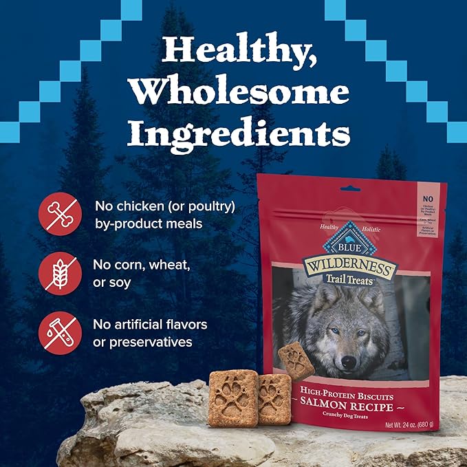 Blue Buffalo Wilderness Trail Treats Crunchy Dog Biscuits, Grain-Free and High-Protein Dog Treats Made with Natural Ingredients, Salmon Recipe 24-oz. Bag