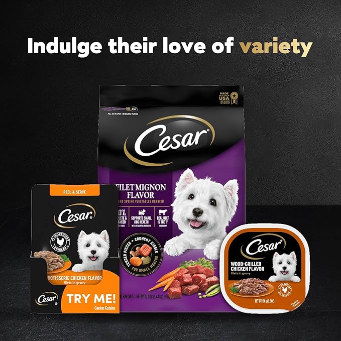 Cesar Filets in Gravy Wet Dog Food Filet Mignon Flavor, Rotisserie Chicken Flavor, and Wood-Grilled Chicken Flavor Variety Pack, 1.76 oz. Mini-Pouches, 40 Pack