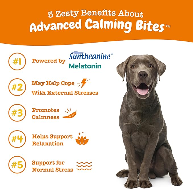 Zesty Paws Calming Chews for Dogs Composure & Relaxation for Everyday Stress & Separation Advanced Melatonin 90 Count