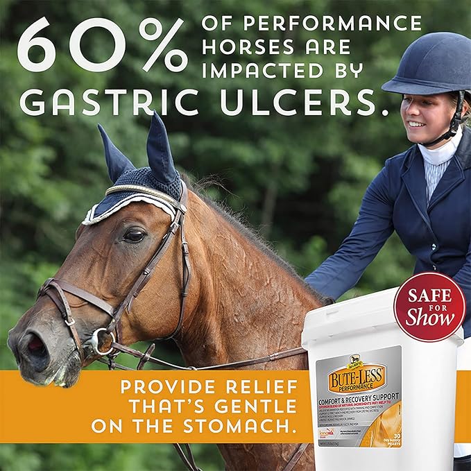 Absorbine Bute-Less Performance Advanced Formula Horse Supplement Pellets, Supports Healthy Inflammatory Response & GI Tract, 3.75lb Tub / 30 Day Supply