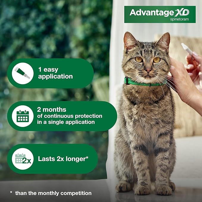 Advantage XD Small Cat Flea Prevention & Treatment For Cats 1.8-9lbs. | 4-Topical Doses, 2-Months of Protection Per Dose