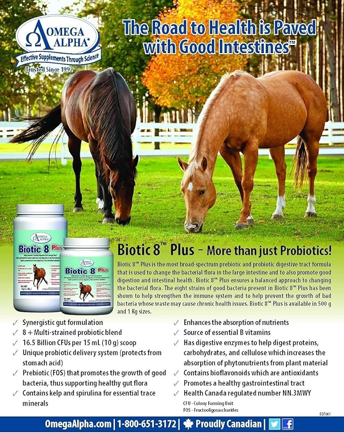 Biotic 8 2.2lbs for horses