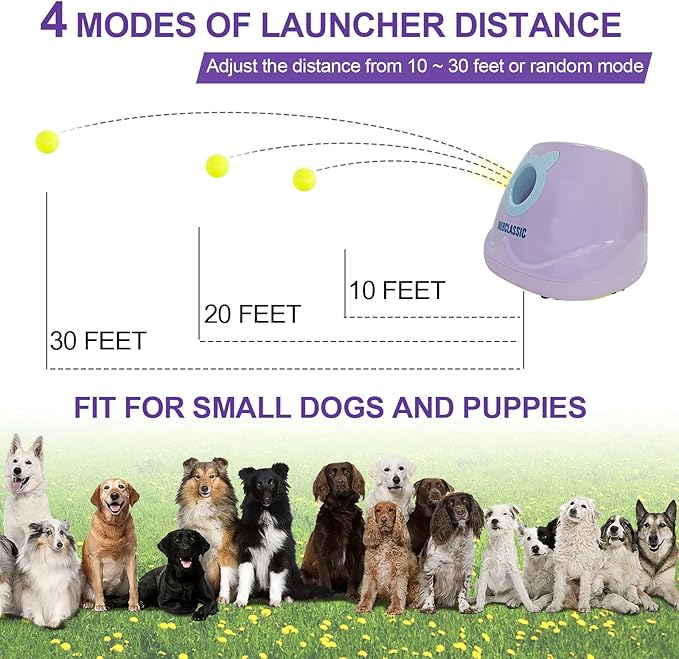 BESTHLS Automatic Ball Launcher for Dogs Interactive Tennis Ball Thrower Machine for Small Medium Dogs Fetching Distance 10-30ft, 6pc Balls Included (Purple)