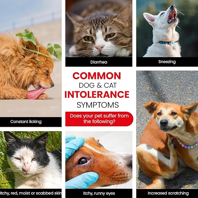 Vet-Recommended Pet Food Sensitivity & Intolerance Test Kit for Dogs & Cats, Lab Fee Included, Results in 3 Days - Fur Analysis for ~200 Foods & Allergens, Allergy Test Kit for All Breeds & Ages