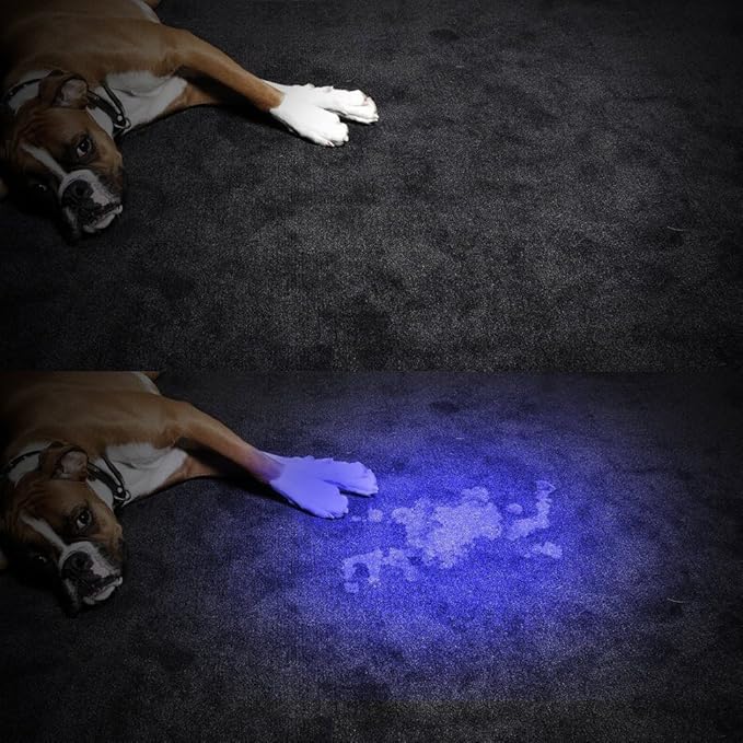 LED Pet Urine Scorpion Detector UV Flashlight