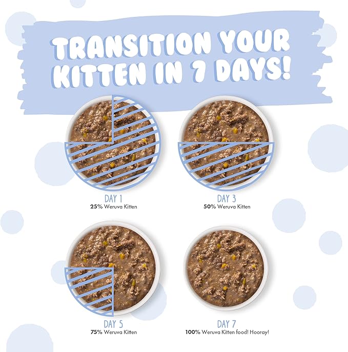 Weruva Kitten, Chicken & Pumpkin Formula in Gravy, 3oz Can (Pack of 12)