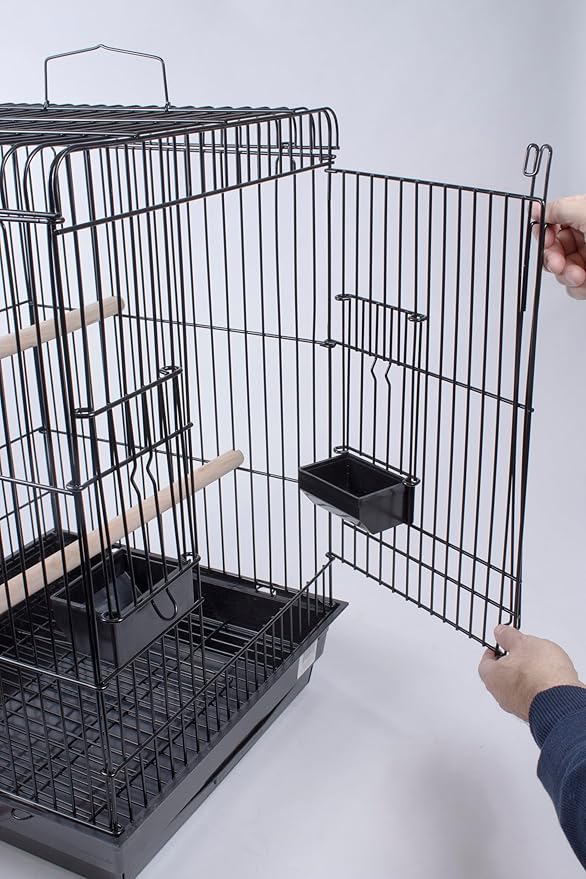 PENN-PLAX Conure & Small Parrot Starter Kit with Birdcage and Accessories – Perfect for Cockatiels, Conures, and Small Parrots – Square Dome – Black