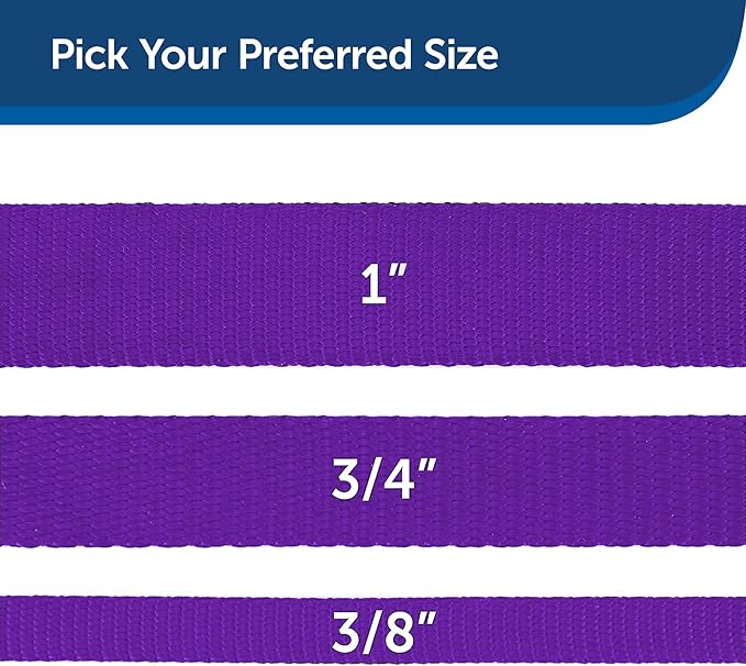 PetSafe Nylon Dog Leash – Strong, Durable, Traditional Style Leash with Easy to Use Bolt Snap – 1" x 6', Deep Purple