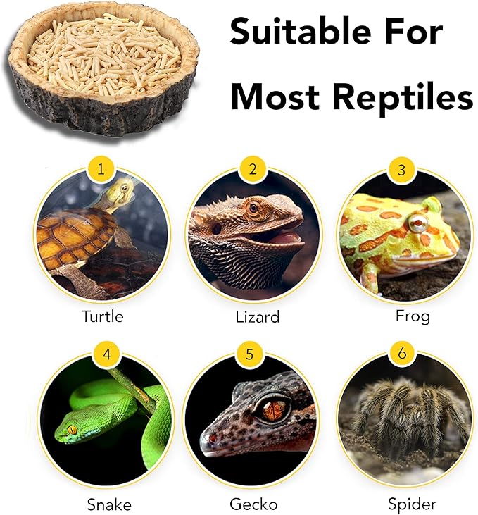 CalPalmy 2 Pack Reptile Water and Food Bowls, Novelty Food Bowl for Lizards, Young Bearded Dragons, Small Snakes and More - Made from BPA-Free Plastic