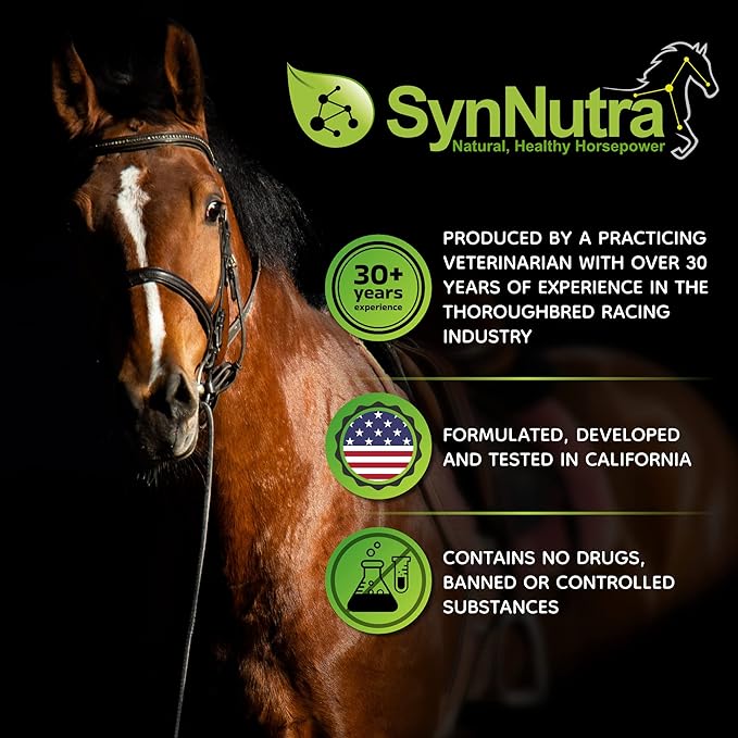 SynoStride All Natural, All-in-one, Joint Health Supplement for Horses, Powder with Glucosamine, Chondroitin, Hyaluronic Acid, Biotin, Methionine, Trace Minerals, Made in USA (1080 Grams)