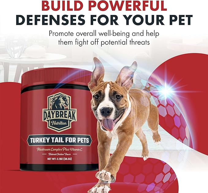 Turkey Tail for Dogs and Cats by Daybreak Nutrition | Premium Blend of Turkey Tail, Shiitake, & Reishi Mushrooms | Immunity Supplement for Pets | Provide an Immunity Boost for Dogs and Cats | 2.1 oz