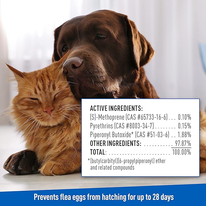 Adams Plus Flea & Tick Shampoo with Precor for Cats, Kittens, Dogs & Puppies Over 12 Weeks Of Age Sensitive Skin Flea Treatment | Kills Adult Fleas, Flea Eggs, Ticks, and Lice| 12 Ounces