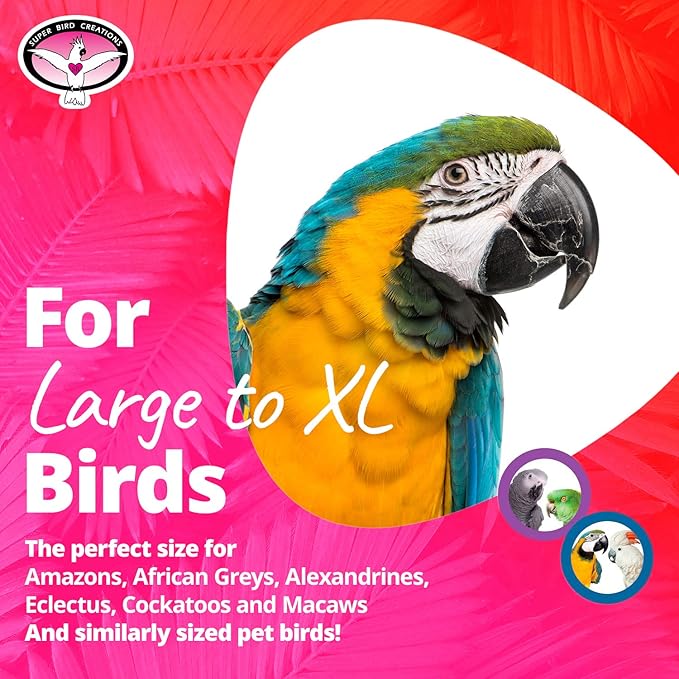 Super Bird Creations - SB326 Large to XL Bungee Bird Toy - Rope Perch for Amazons, African Greys, Cockatoos, Macaw - Colorful Hanging Perch - Enriching Bungee Toy for Large/XL Birds & in Bird Cages