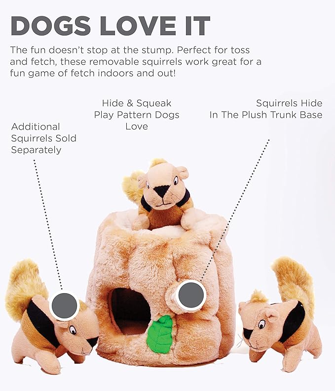 Outward Hound Hide A Squirrel Plush Dog Toy Puzzle, XL