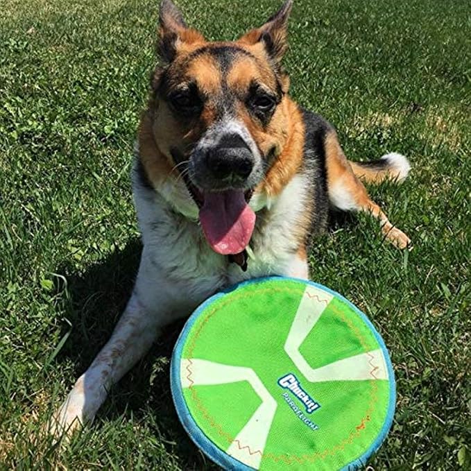 Chuckit Max Glow Paraflight Flying Disc Dog Toy, Large (9.75"), Green And White