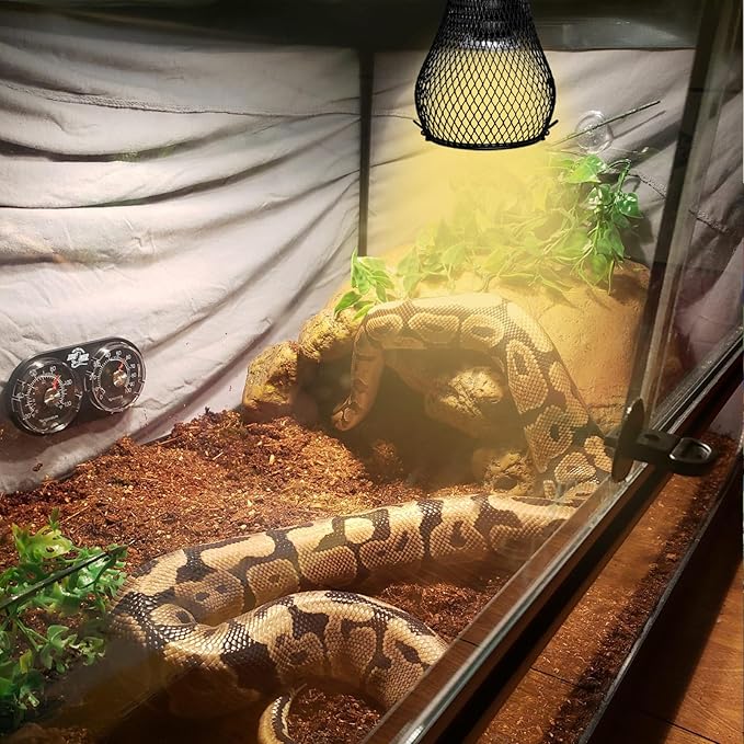 Reptile Heat Lamp,UVA UVB Reptile Light Anti-Scald Heater Guard Turtle Basking Heater Lamp with Guard for Lizard,Snake, Parakeets Parrots Chameleon, Amphibian Bird Supplies(2 Bulbs 25W+50W)