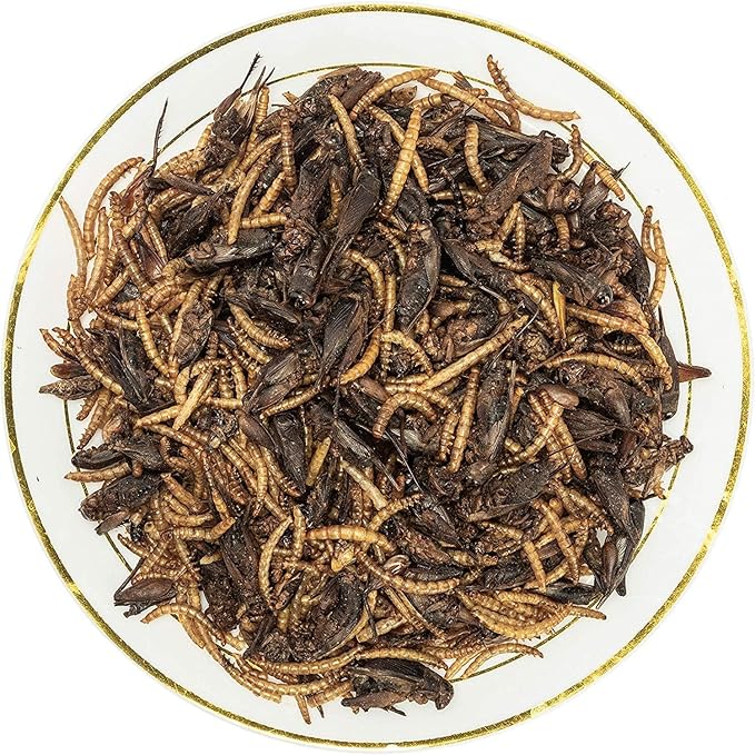 with Natural Dried Crickets (8oz) All Natural 100% Non-GMO, Food for Breaded Dragons, Chicken, Fish, Ducks, Wild Birds, Turtles, Hedgehogs